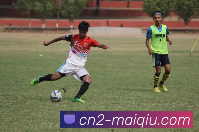 买球线上官方发展历程